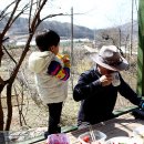 일도농장 이미지