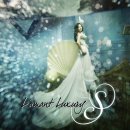 럭셔리스튜디오 이미지