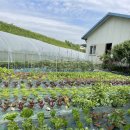 승일농장 이미지