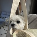 이선동물병원 이미지