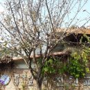 진천지역아동센터 이미지