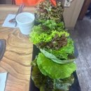 산들애하우스 | 광명 맛집, 사장님이 직접 키운 쌈!! <산들애쌈밥두루치기> 내돈내산 후기