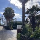 새애월 | 제주 게스트하우스 새애월 여자끼리 가기 좋은 애월 숙소 추천