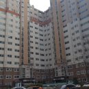 사파동310 이미지