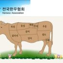 우리소푸줏간