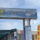 자갈마당산꼼장어
