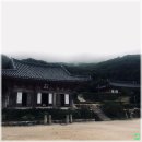 써니PC방 | [휴식, 여행] 해남 미황사 템플스테이, 달마산 도설암 아름다운 땅끝 마을 전망대