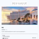 벨라지오호텔 | 라스베가스 벨라지오호텔 스위트룸 후기! 짐보관 방법/수영장