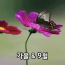 Crazy Love 이미지