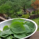 수림밸리펜션 이미지