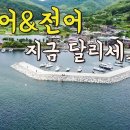 고등어 & 전어낚시 이미지