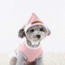 다솜애견 이미지