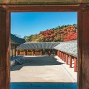 여명로25번길 이미지