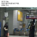 닐리리 이미지