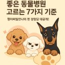 슬기로운 동물병원 | 도기마마 슬기로운 견주생활) 좋은 동물 병원 찾는 법 - 좋은 동물 병원 찾는 체크리스트