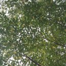 바람불어좋은날 | [운동 후기] 고혈압+당뇨병+고지혈증=3대 성인병을 운동으로 탈출!