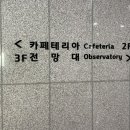도라산전망대카페