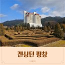 (주)평창목재(1종) | 켄싱턴 평창 겨울 아기랑 호캉스 내돈내산 먹이주기 디럭스 온돌 솔직후기