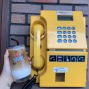 양지다방 이미지