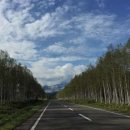 엠티렌터카 이미지