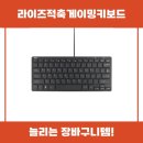라이즈적축게이밍키보드 TGIC 리뷰