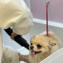 멍클스튜디오 이미지