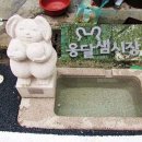 옹달샘시장 이미지