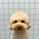 남포역 8번 출구 네이버블로그