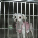 대우사우나 이미지