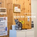 집사의하루 노원점 이미지