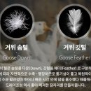 이불올데코