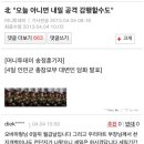 세일야채