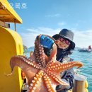 오복호 | 쭈꾸미낚시 뉴오복호 업체 후기