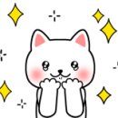 반듯하개 이미지