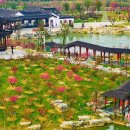 하늘에서 찍은 장쑤 옌청 ‘매화만(梅花灣)’, 봄 향기 가득한 정원 이미지