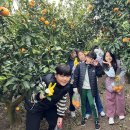 창천초등학교 이미지