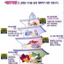 왕과비 Daum카페