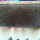 알이랑농장 이미지