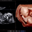 세종미즈산부인과의원 이미지