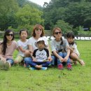 시안미술관 이미지