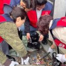 대신시장 이미지