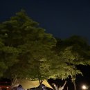 옥천1382
