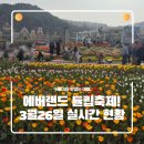 동심으로 돌아가 나를 돌아보는 시간 동화 읽는 어른들 | 2026 에버랜드 튤립축제 개화 실시간 현황! 3월 26일 방문 후기!