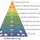 우리나라 멸종위기 야생동물 이해하기 | 세계자연보전연맹 멸종위기종 적색목록: 우리가 사랑하는 북극곰, 판다는 몇 등급일까요?