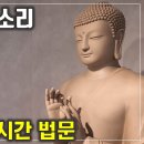 🪷토요 정기법회 동영상 이미지