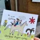 구유목장 | 제주도동쪽여행 조천 목장 먹이주기체험 [길갈 팜 랜드] + 카페말로