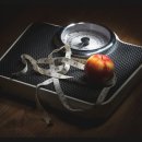 경희 복싱 클럽 이미지