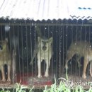 민원농장 이미지