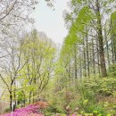 신동근린공원 이미지