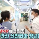 신안코아 이미지